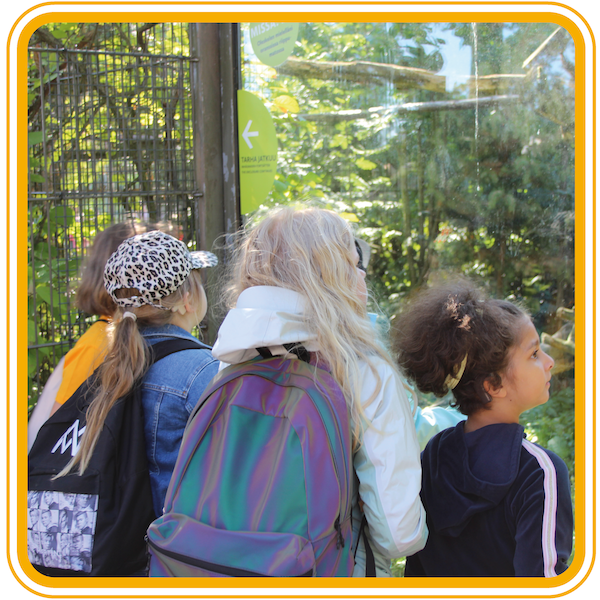 Kuvassa leirin lapsia ihmettelemässä eläimiä Korkeasaaren eläintarhassa