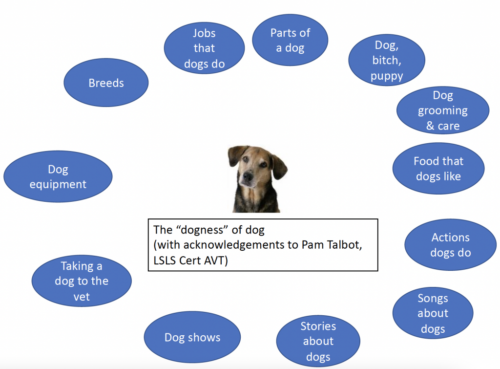 Keskellä kuvaa koira, alla lukee the dogness of dog. Ympärillä ympyröissä erilaisia käsitteitä ja konsepteja, jotka liittyvät koiriin.