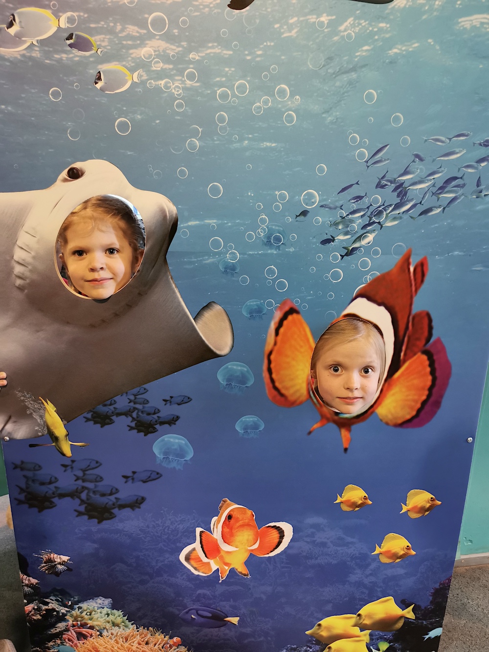 Kuvassa on iso pahvi, jossa on kuva merenelävistä veden alla. Kalojen kohdalle on kaksi reikää, joista kaksi pientä tyttöä kurkistaa ja hymyilee.