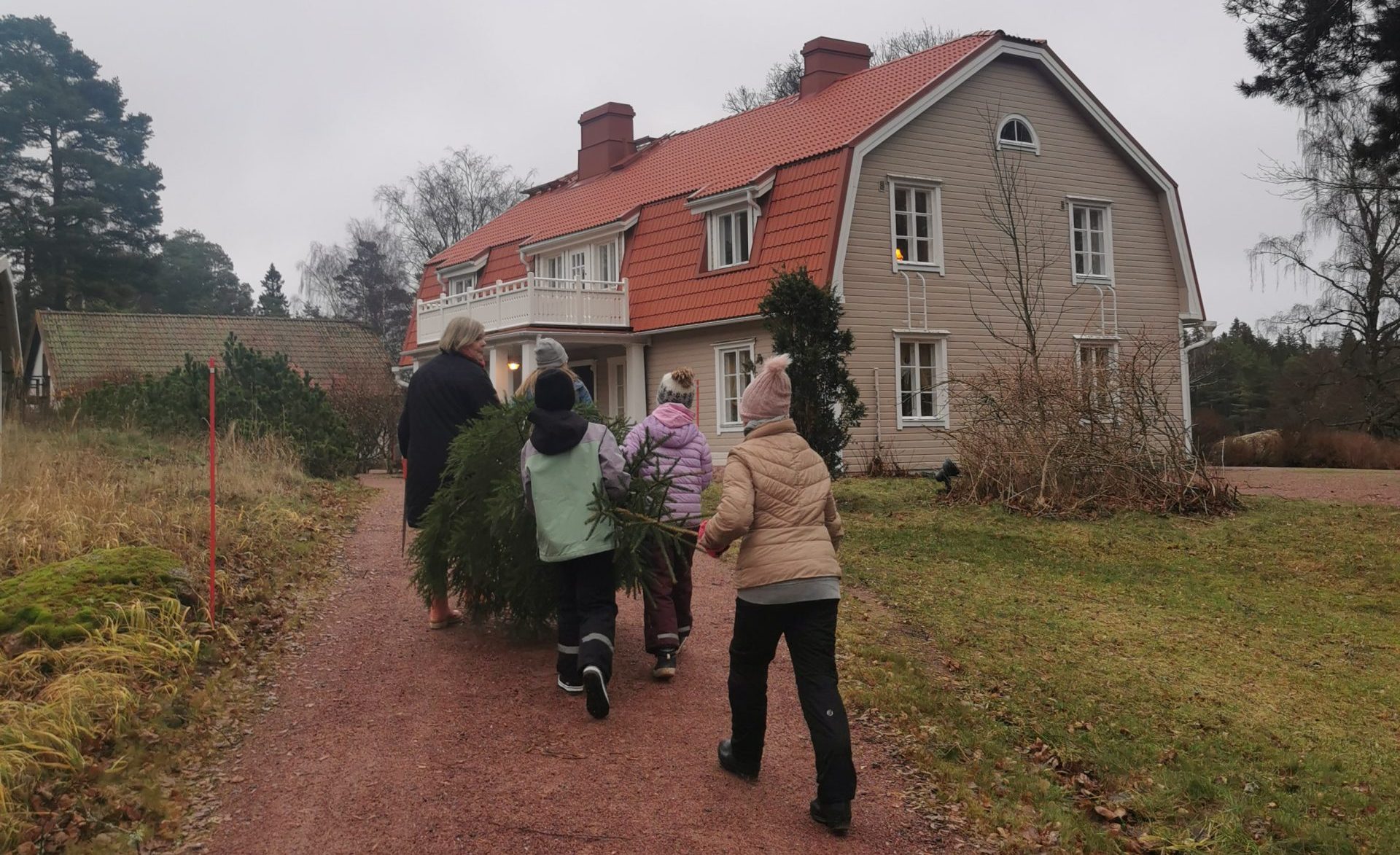 Taustalla talo, jota kohti kävelee neljä lasta ja yksi aikuinen kantaen kaadettua kuusta.