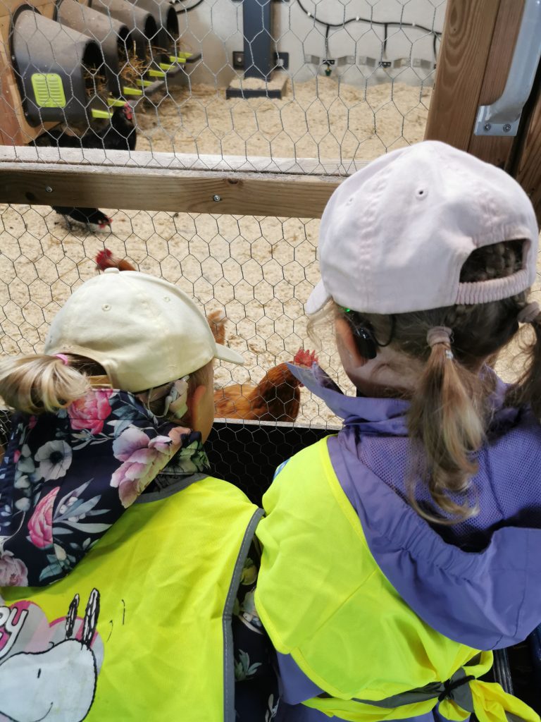 Kaksi pientä lasta takaapäin kuvattuna, lapset katsovat kana-aitauksen sisälle.