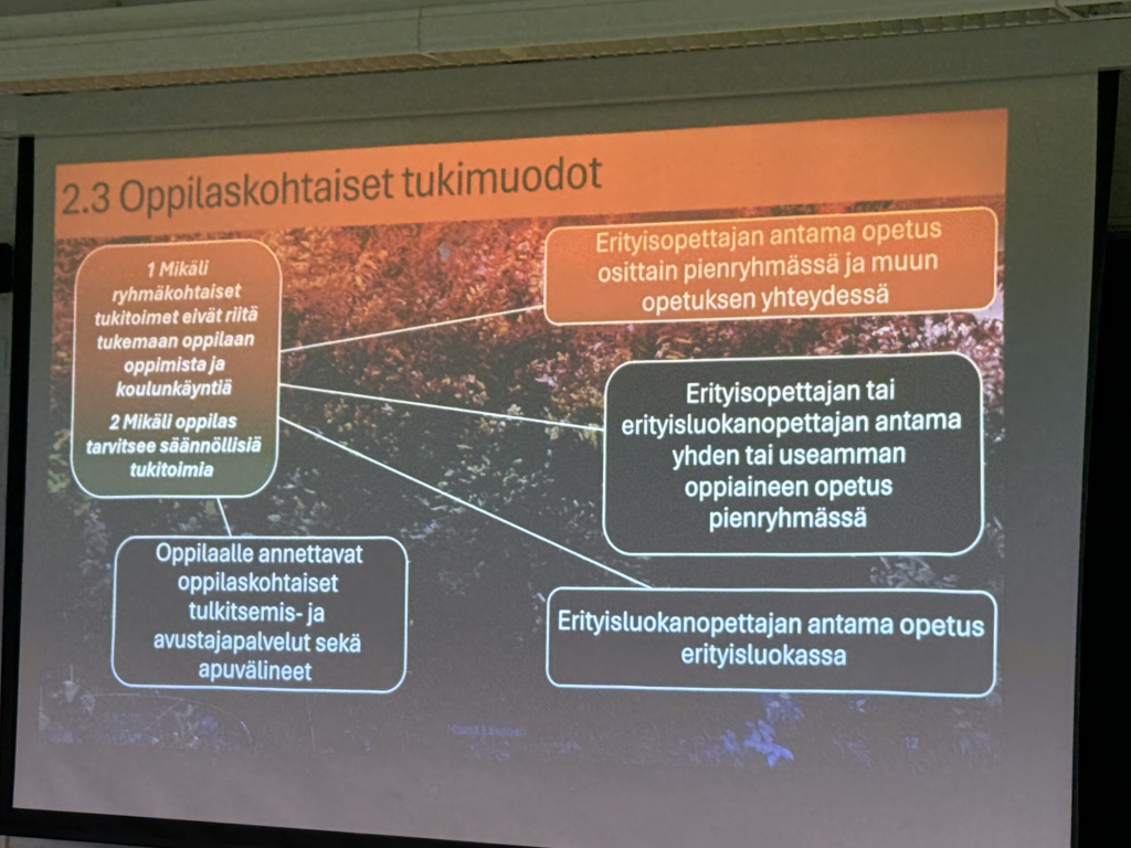 Maarit Lasasen iaesityksen dia, aiheena siinä oppilaskohtaiset tukimuodot. Diassa selitetään miten tukimuodot kohdistuvat, jos ryhmäkohtaiset tukitoimet eivät riitä.