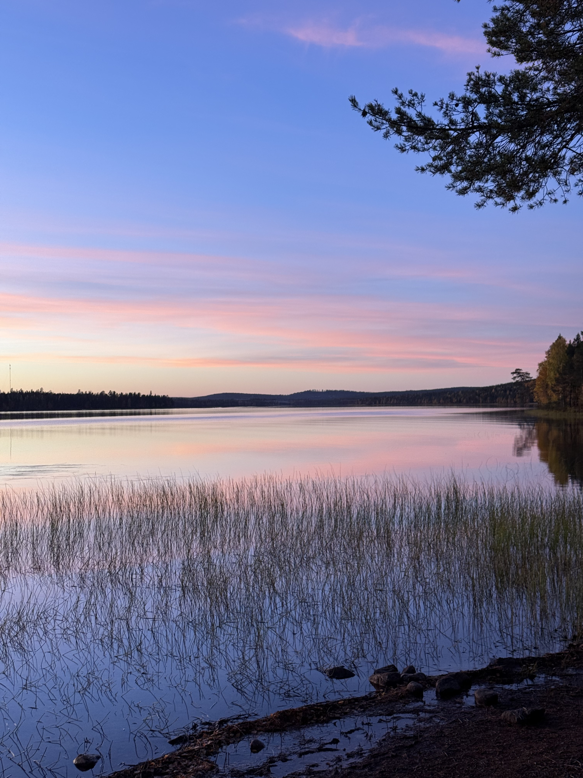 Norvajärven rannalta otettu kuva, taivas ja vedenpinta ovat pastellinsävyissä.